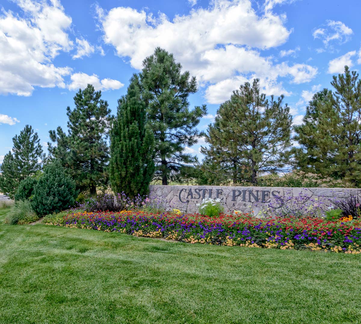 Castle Pines, CO — custom shotcrete pool builder and aluminum pergola contractor
